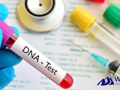 DNA Testing- Test Tubes, Syringe & Stethoscope on Table
